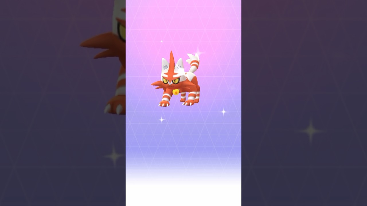 【 ポケモンgo 】 ニャビー（フレンドとの交換でもらった色違い！） → ニャヒート !【 うさぴよの巣 】#litten #torracat # pokemongo #pokemon