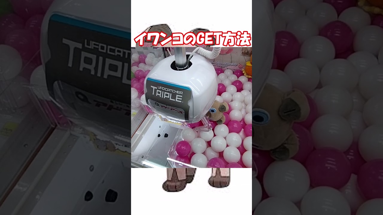 #クレーンゲーム #ゲーセン #確率機 #確率無視 #ポケットモンスター #ポケモン #イワンコ #Pokémon