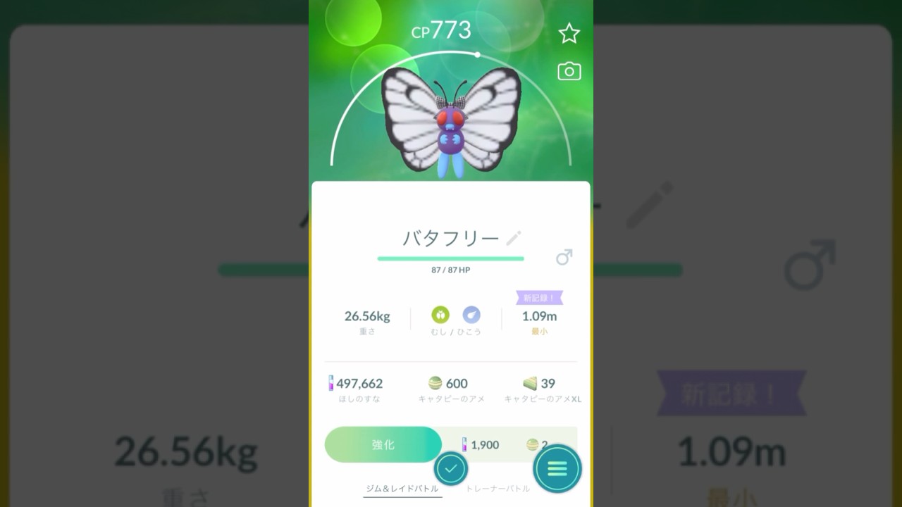 【 ポケモンgo 】バタフリー （リボン）かわいいね！【 うさぴよの巣 】#butterfree #pokemon # pokemongo