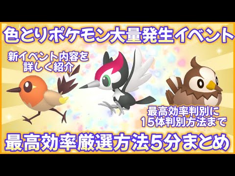 SV色とりポケモン大量発生イベ最高効率厳選５分まとめ #ポケモンsv #最高効率 #色違い #ヤヤコマ #ムックル #ツツケラ