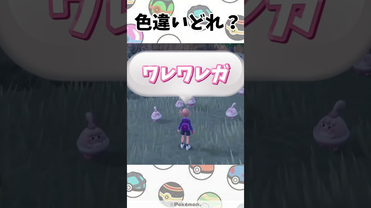 【ポケモンSV】ピンプクの色違いどれですか？ #ポケモンsv