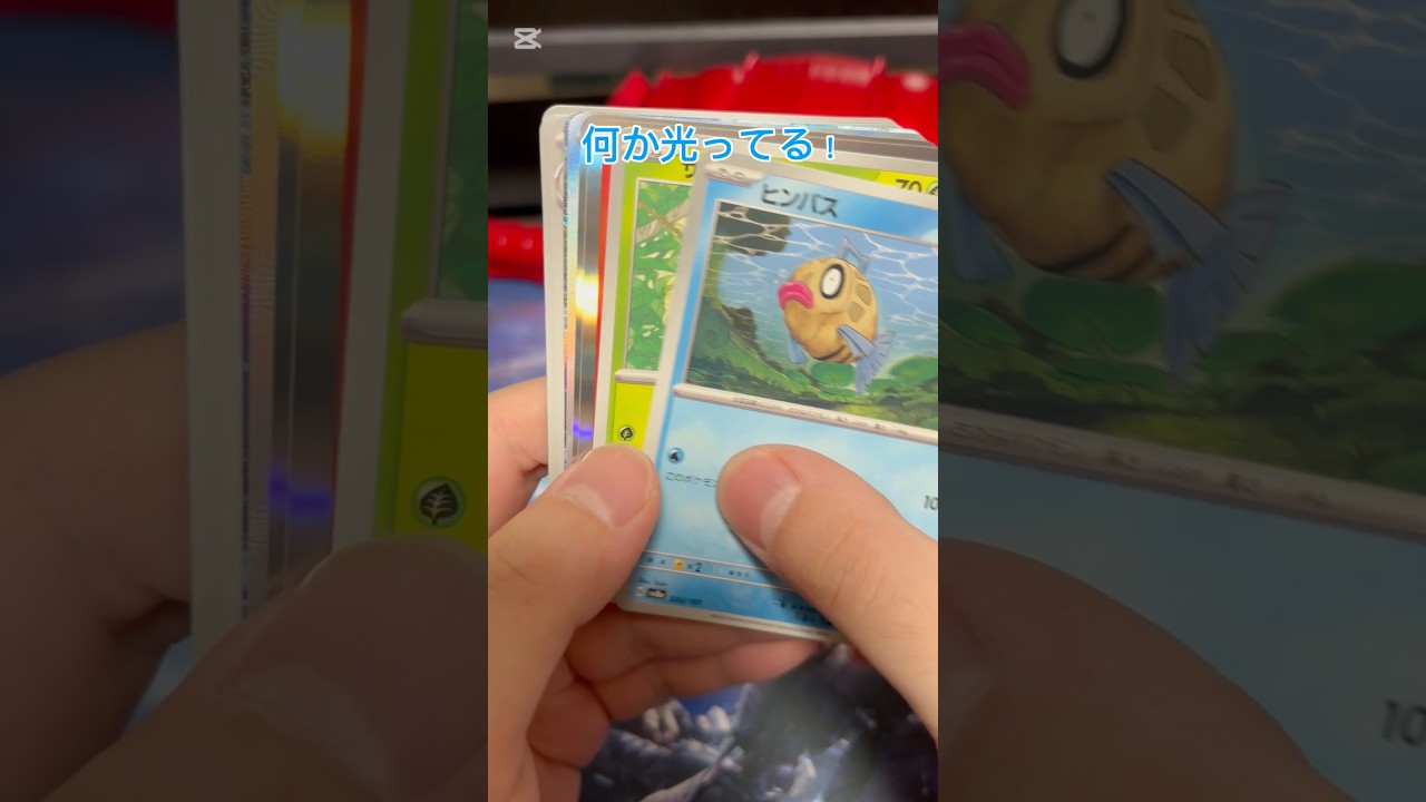 1パックだけ買えたポケモンカード新弾のテラスタルフェスex開封していく　#ポケカ #イーブイ #ブラッキー #テラスタルフェスex #ポケットモンスター