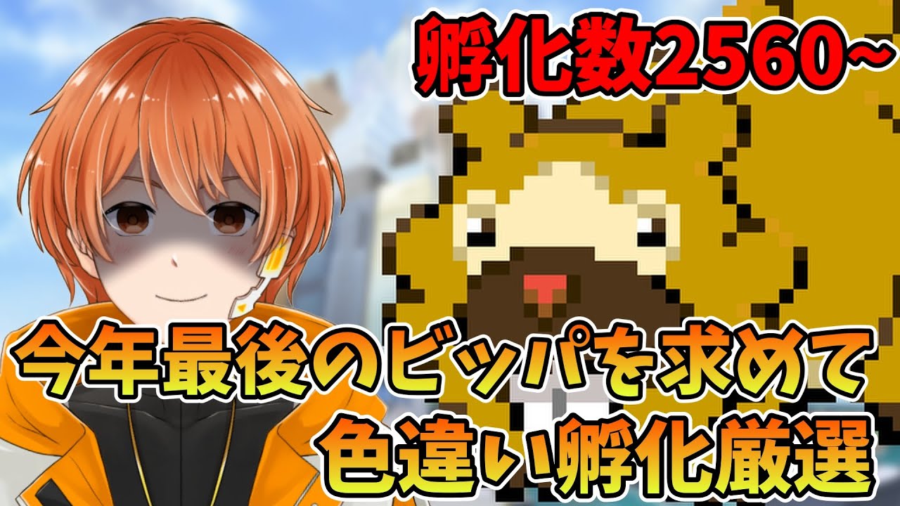 【色違い厳選】久しぶりにビッパの色違い孵化厳選！ 2560匹～【ポケモン】