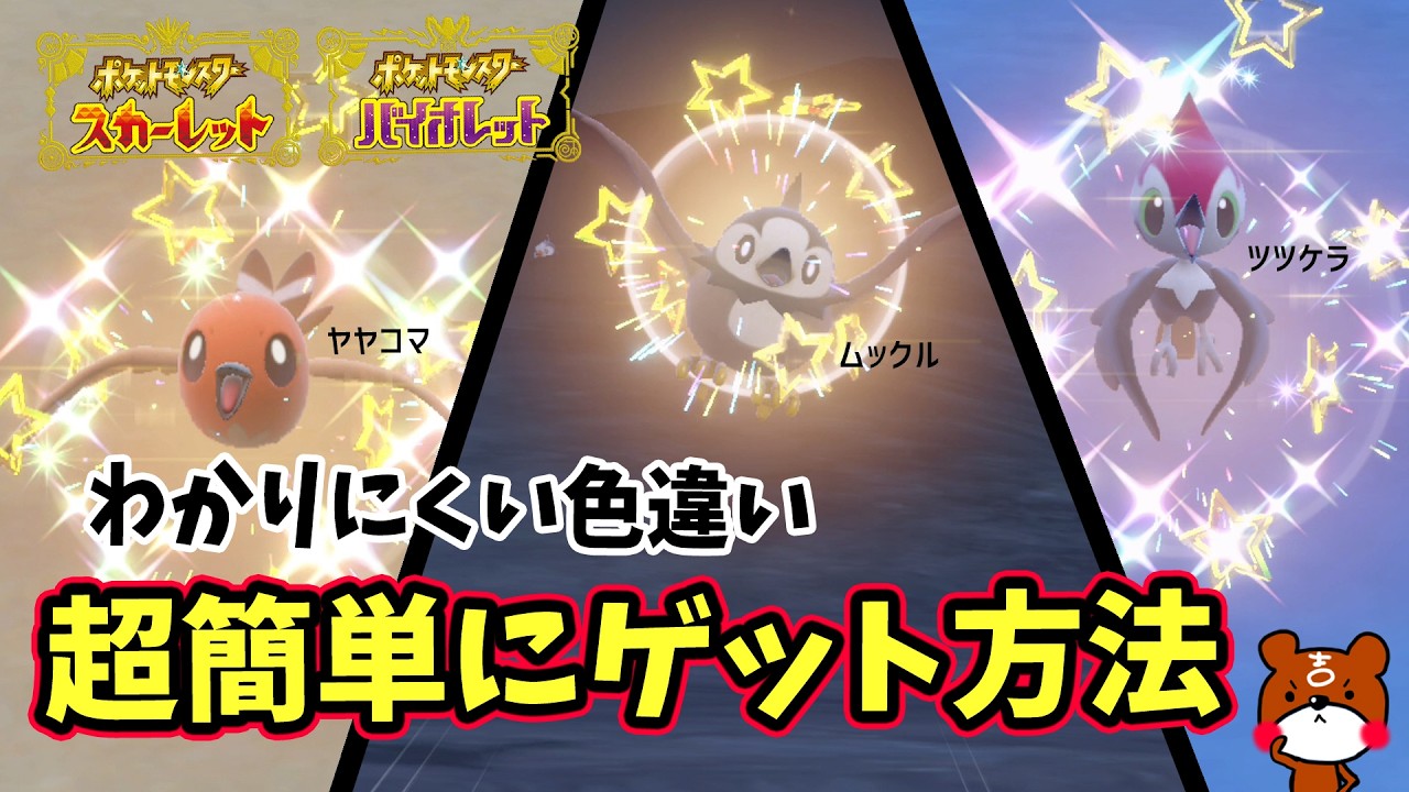 【ポケモンSV】超簡単！鳥ポケモン大量発生！わかりにくい色違いヤヤコマ・ムックル・ツツケラが初心者さんもゲットできる！ポケモンスカーレットバイオレット