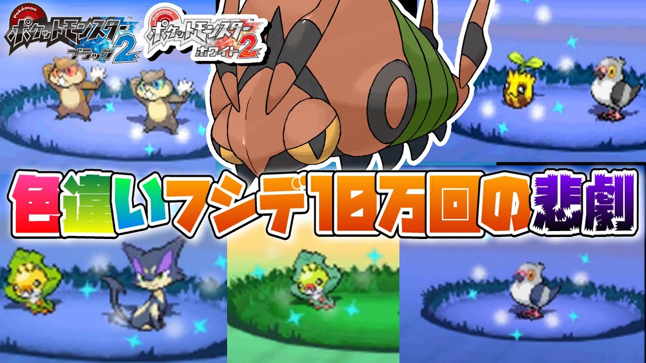 【ポケモンBW2】色違いフシデ厳選中に出た色違いポケモン13連発！