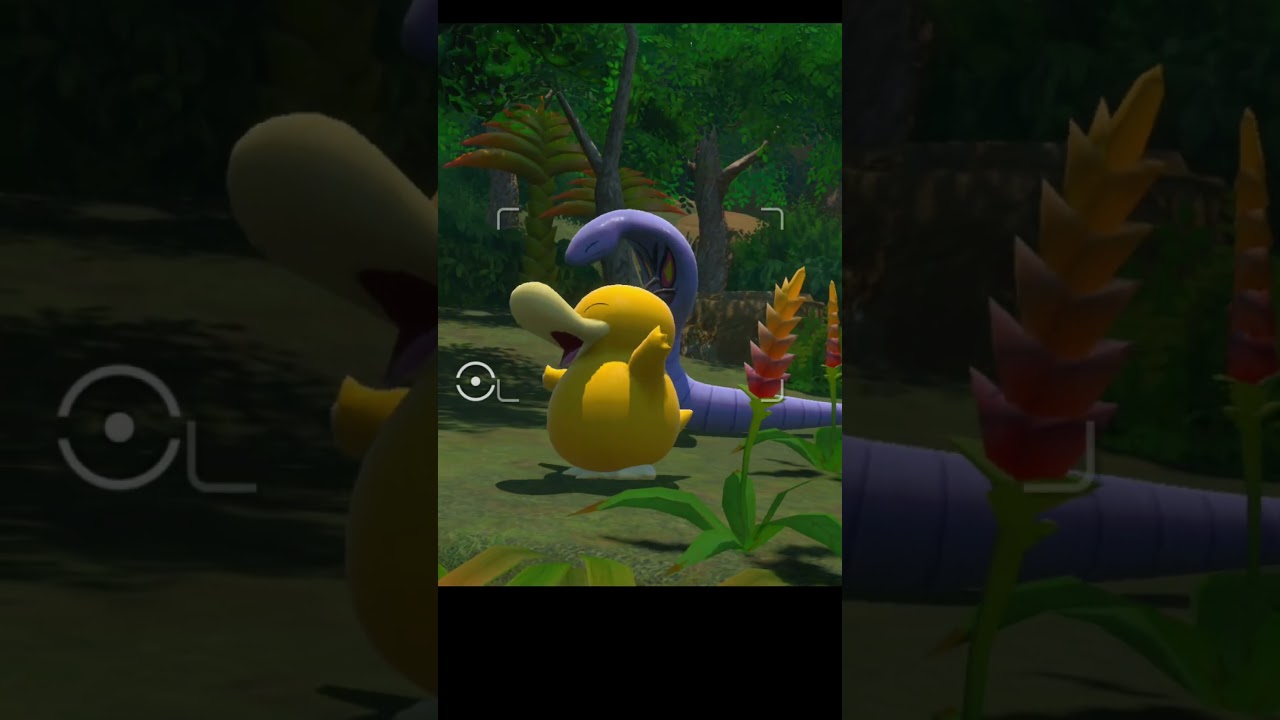 アーボックとコダックの関係　#ポケモン #ポケモンスナップ #コダック #アーボック