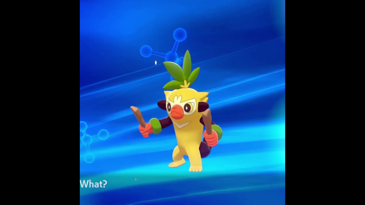 Pokémon : Shiny Grookey is Evolving !