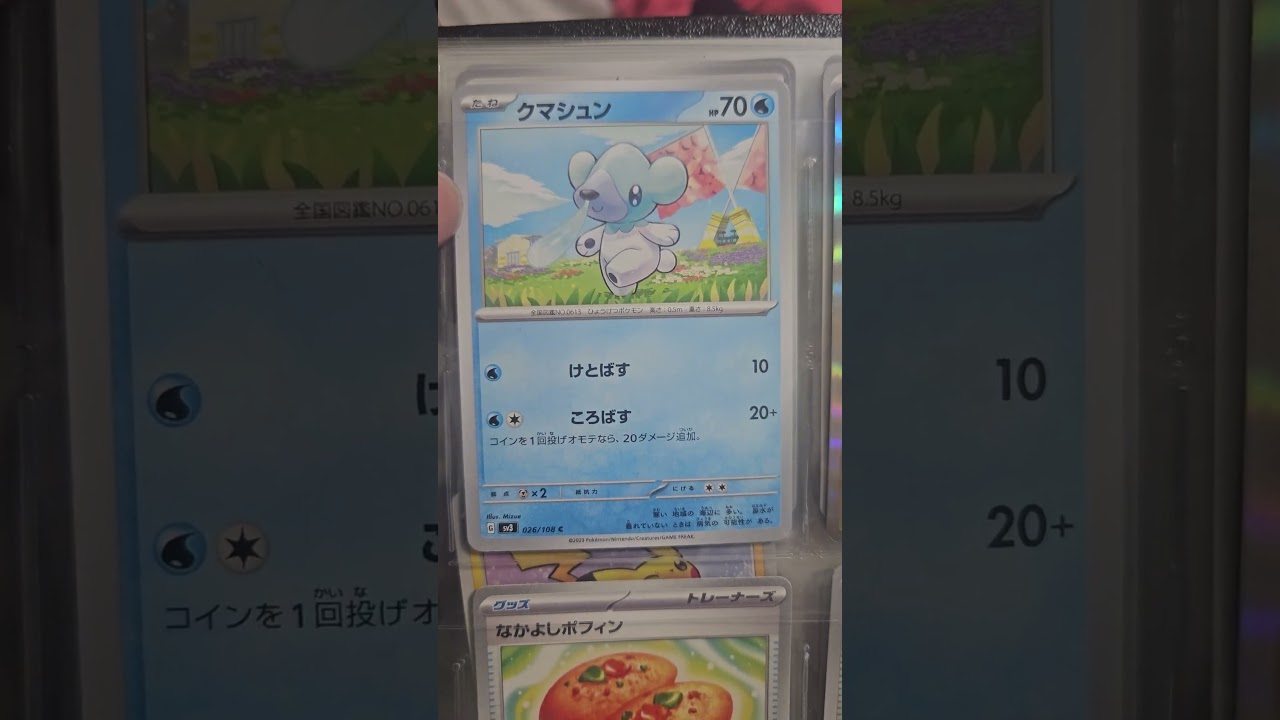 クマシュンを集めてます