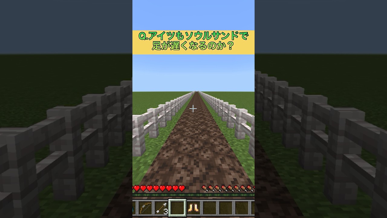 mobもソウルサンドで速度が遅くなるのか？とりあえず「ヤツ」と鬼ごっこ  #マイクラ  #minecraft