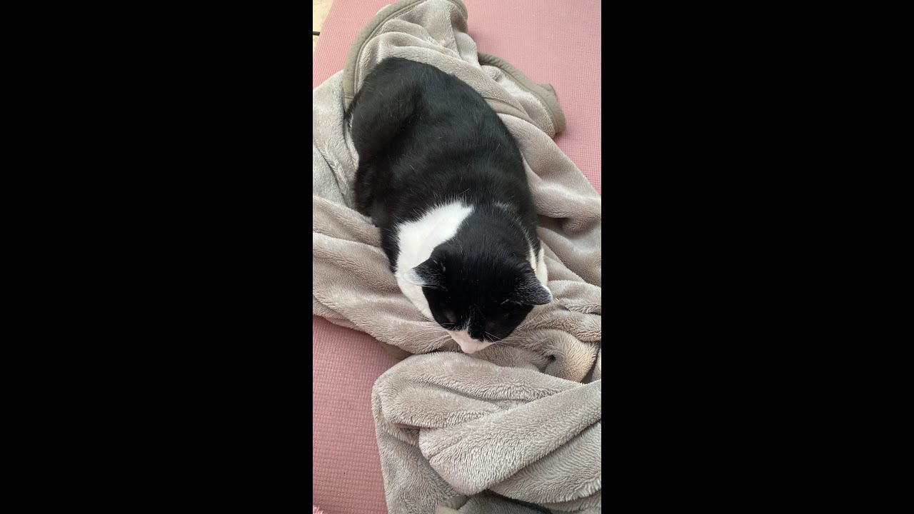 どらごーーんくらーーーしゅ
