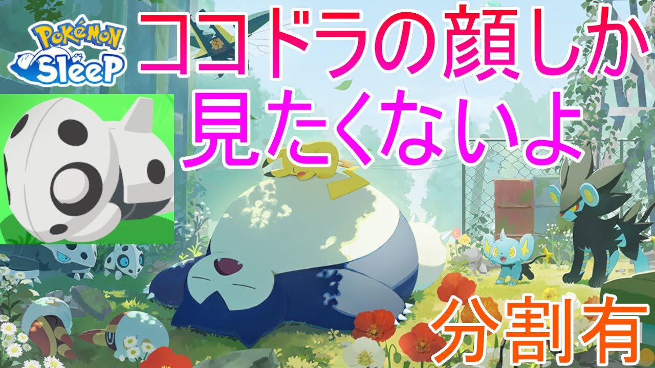 【ポケモンスリープ】もうココドラの顔しか見たくない男の睡眠リサーチ