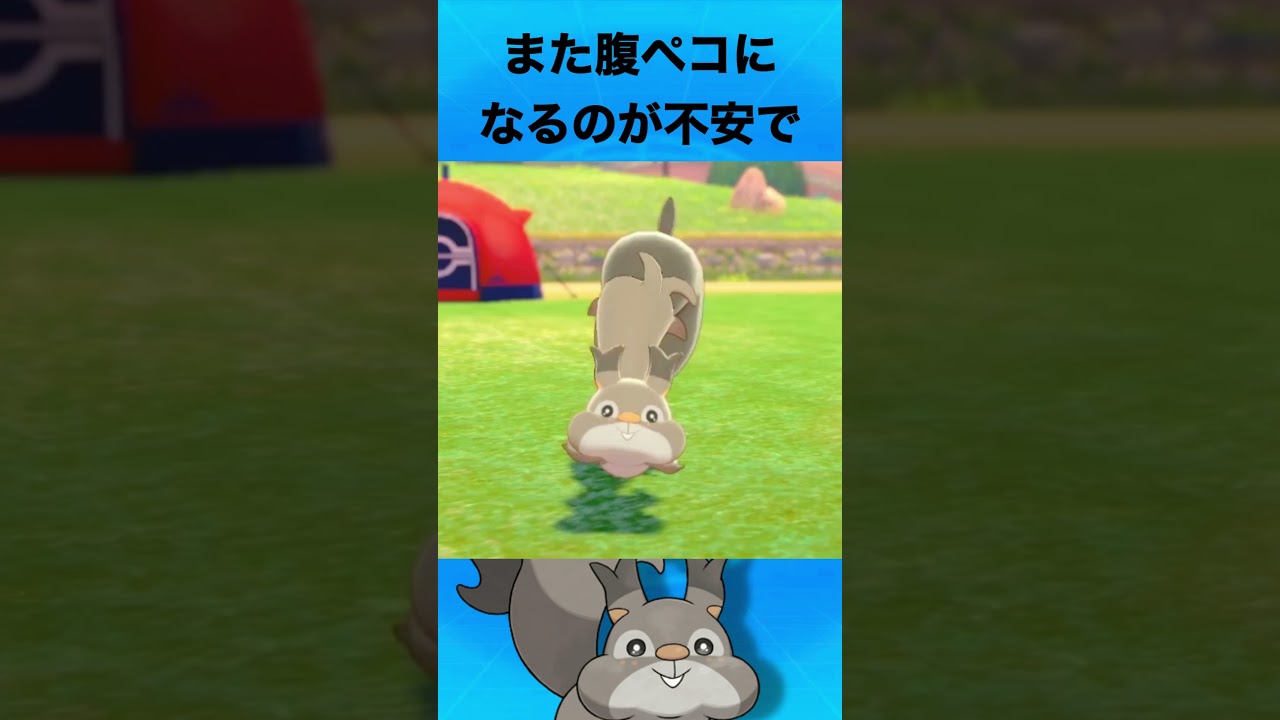 ホシガリスについて #ポケモン #ホシガリス