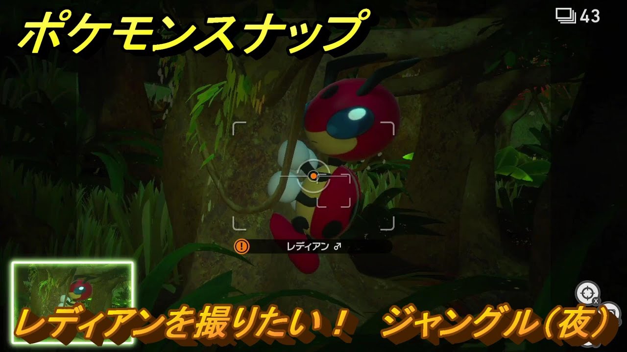 ポケモンスナップ　レディアンを撮りたい！　ジャングル（夜）調査レベル１　＃１１　【New ポケモンスナップ】