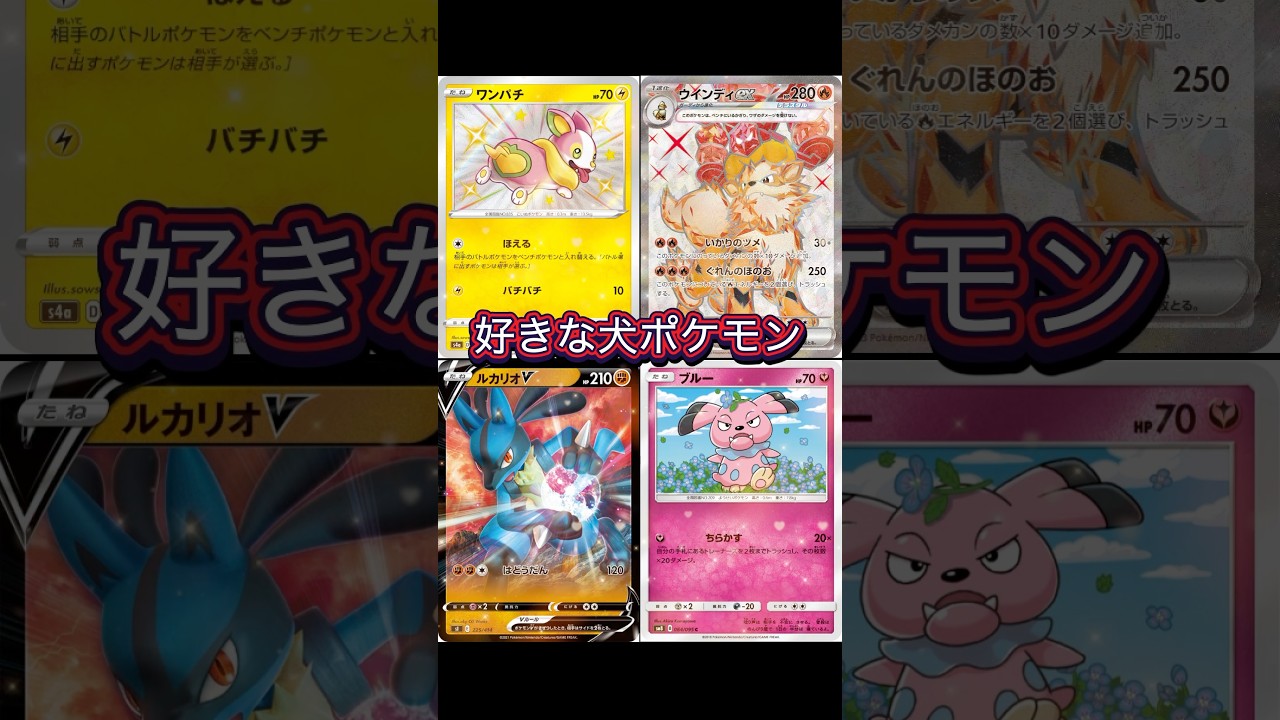 好きな犬ポケモン！ルカリオワンパチウインディブルー！ #ポケポケ #ポケモン #ポケモンカード