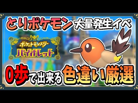 とりポケモン大量発生で色違いヤヤコマのおすすめな厳選場所を紹介！【ポケモンSV】【ずんだもん・四国めたん/VOICEVOX実況】