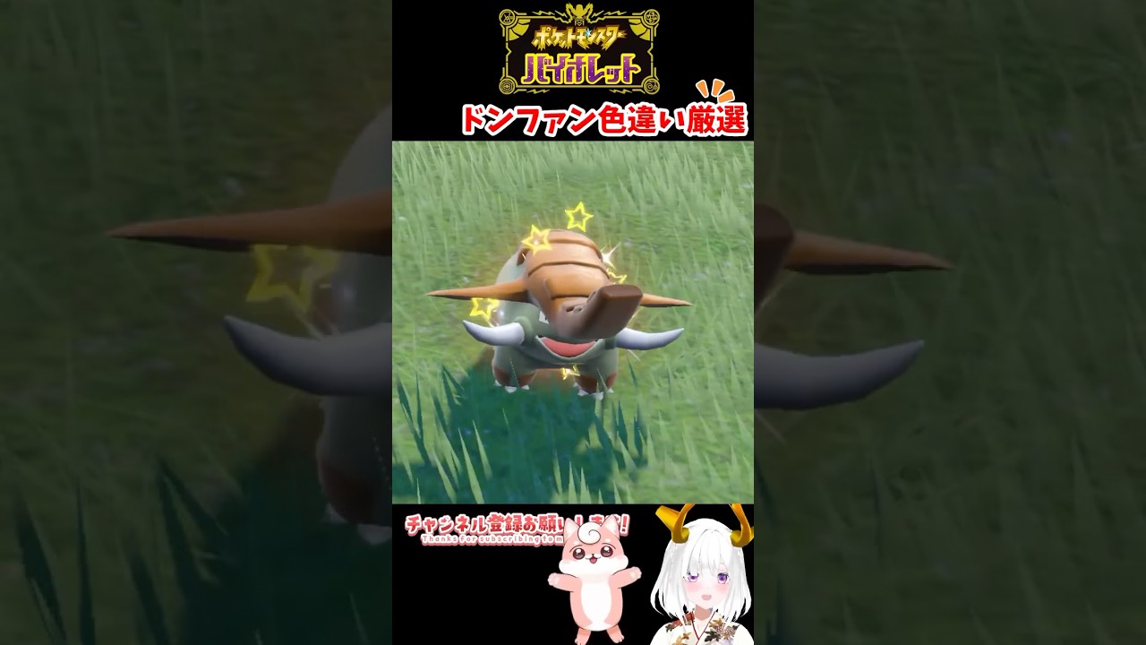 色違いドンファン出現シーン