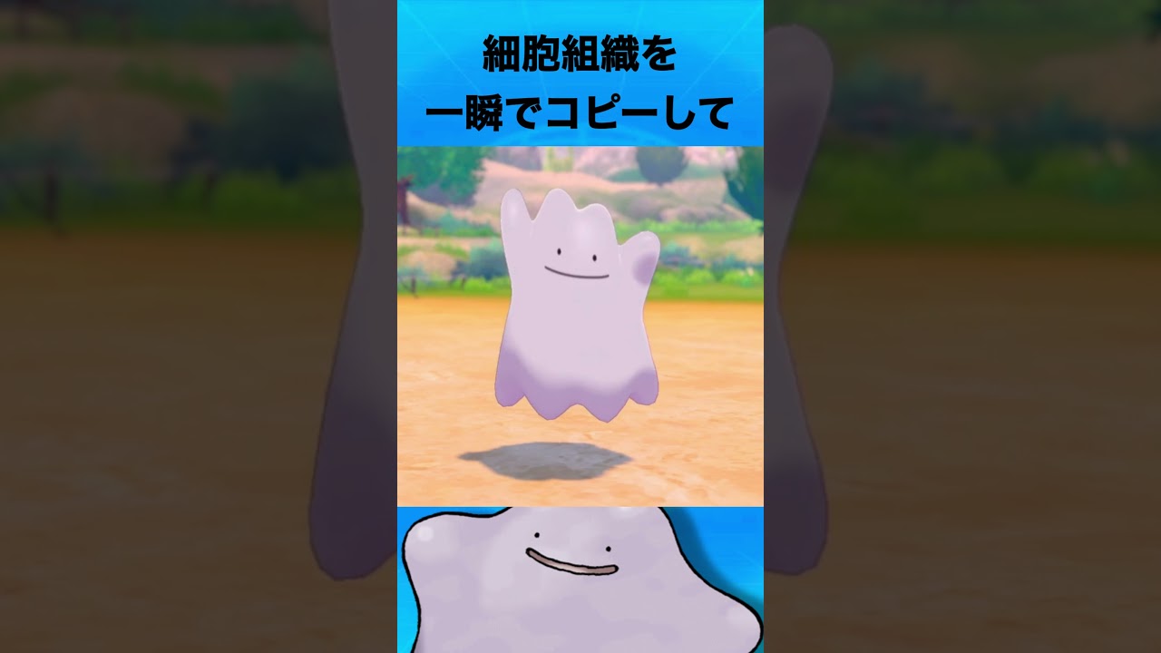 メタモンについて #ポケモン #メタモン