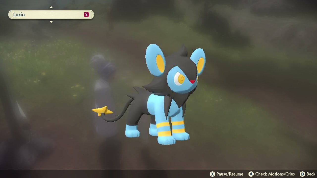 Pokemon On "Speed" - Luxio (Pokémon Legends Arceus)