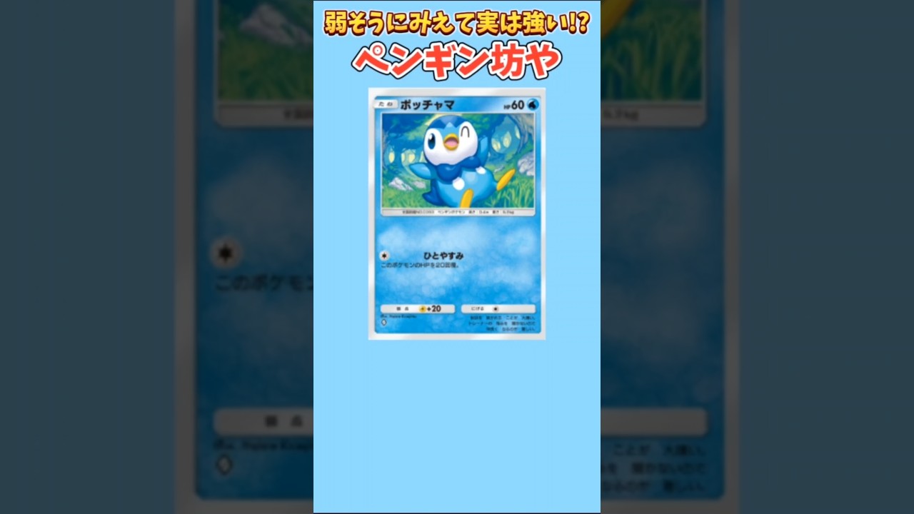 【ポケモン】弱そうにみえて実は強いペンギン坊や「ポッチャマ」【ポケモン解説員】#ダイヤモンドパール#ポケポケ#ポケモン解説員