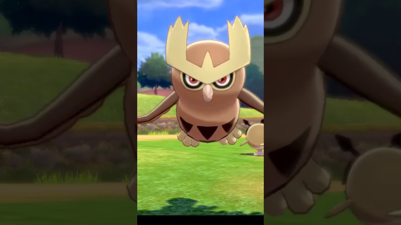 ヨルノズク Noctowl【ポケモン剣盾】