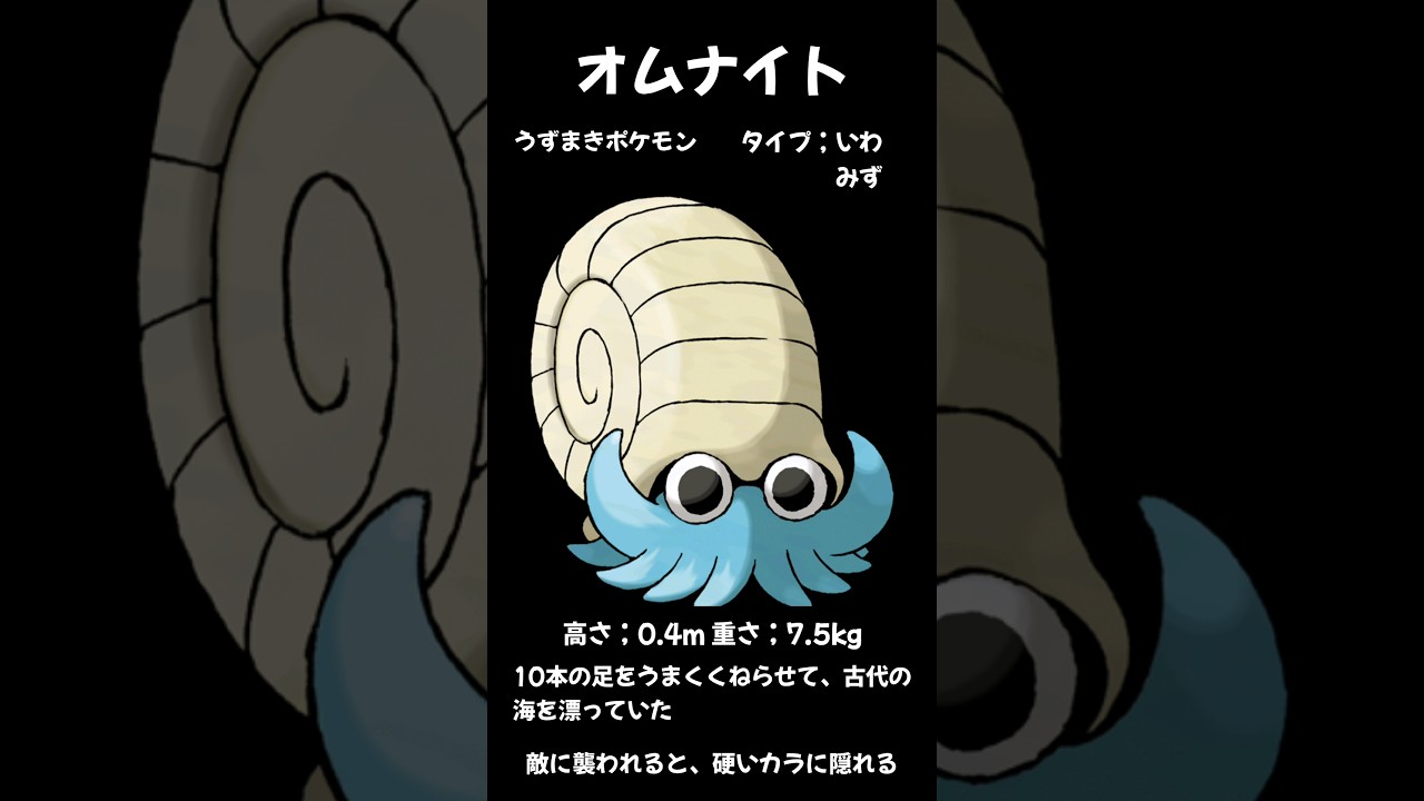 就寝前の夫婦でポケモン講座【オムナイト】毎日投稿21日目