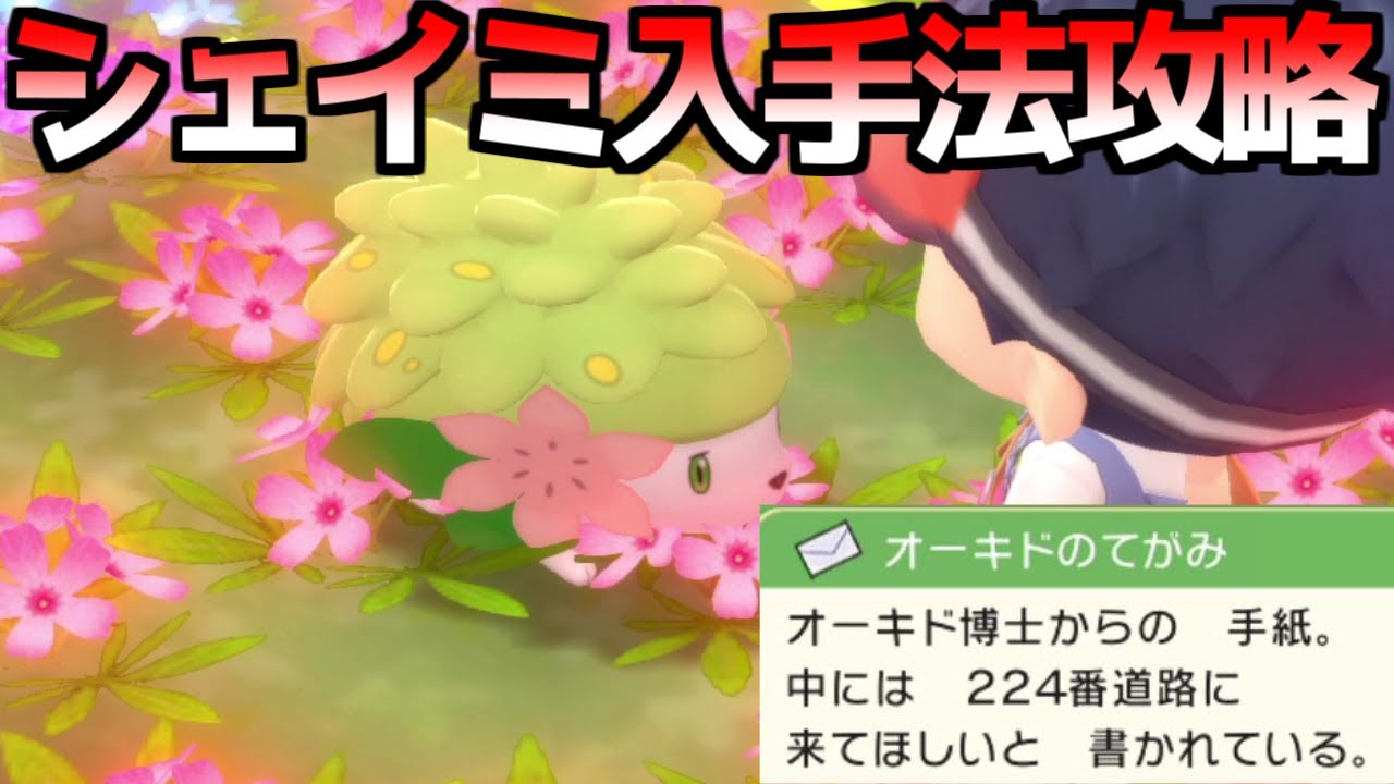 【ポケモンダイパリメイク】 オーキドの手紙 受け取り方 シェイミ グラシデアの花 入手 フォルムチェンジ方法 攻略 【ブリリアントダイヤモンド・シャイニングパール】ポケモンBDSP