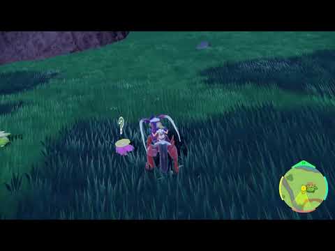 ポポッコ　色違い