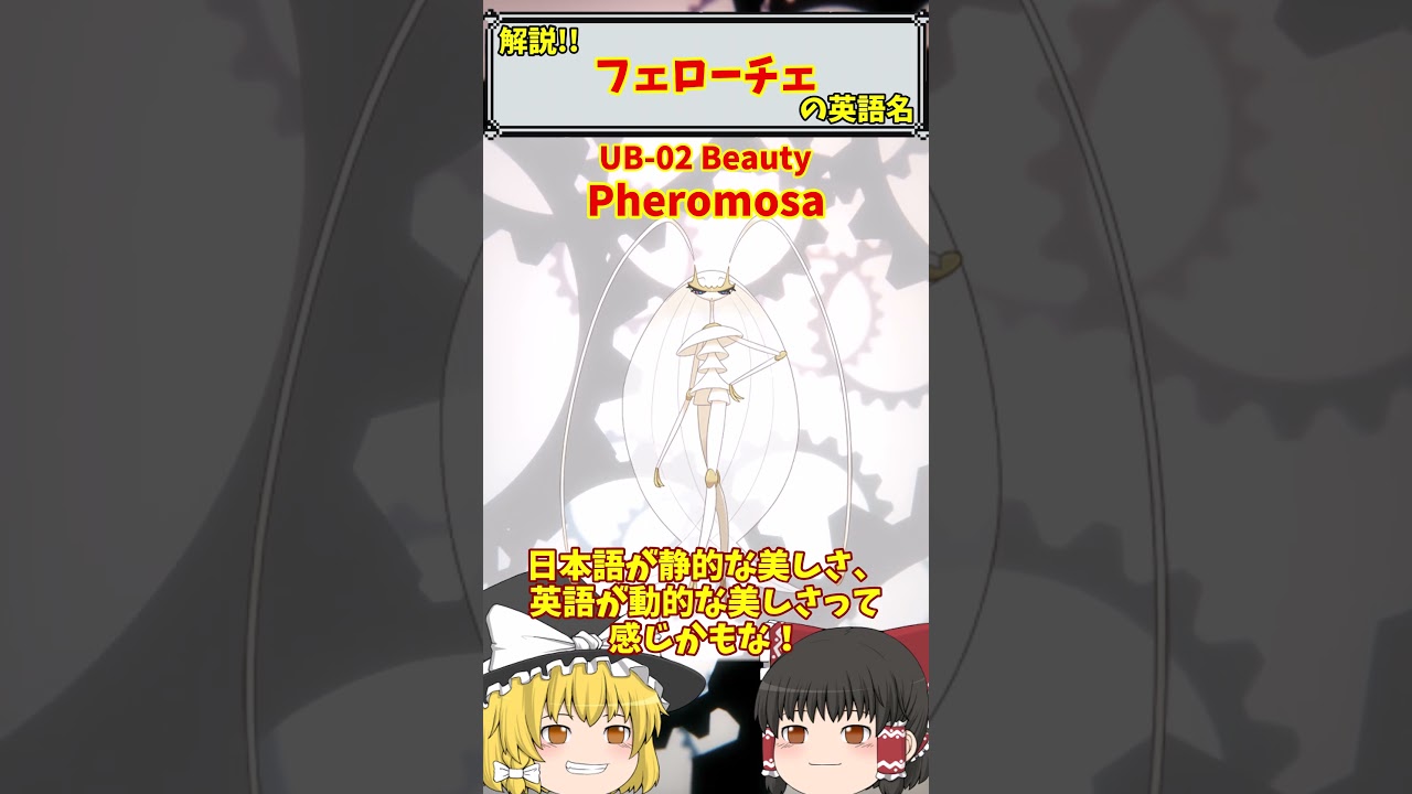 【英語でポケモン】No.795 フェローチェ【ポケごらく】 #ポケモン #ポケモンゆっくり解説 #ポケモン解説 #海外 #英語 #toeic