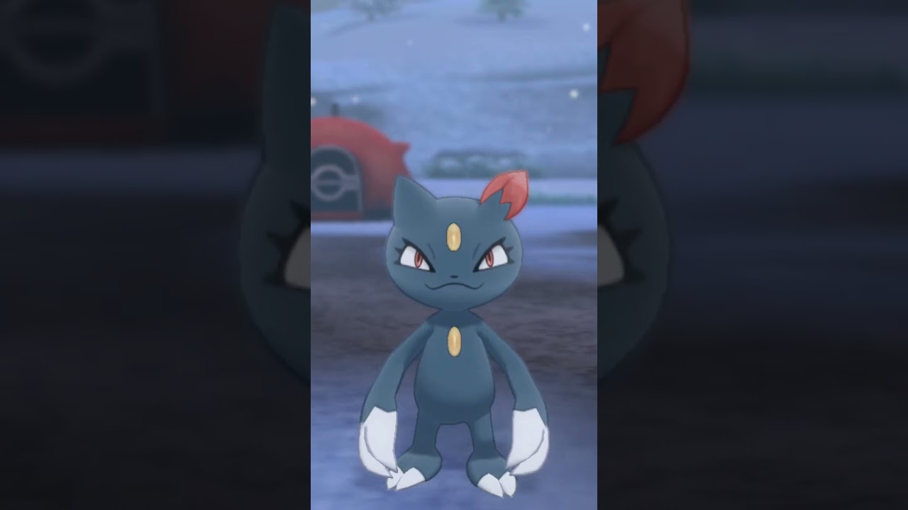 ニューラ♀ Sneasel【ポケモン剣盾】