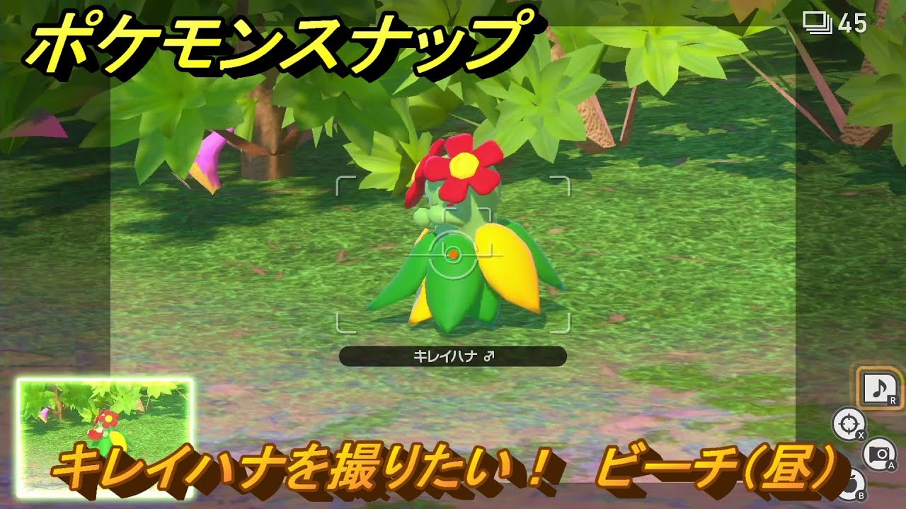 ポケモンスナップ　キレイハナを撮りたい！　ビーチ（昼）調査レベル１　＃２０　【New ポケモンスナップ】