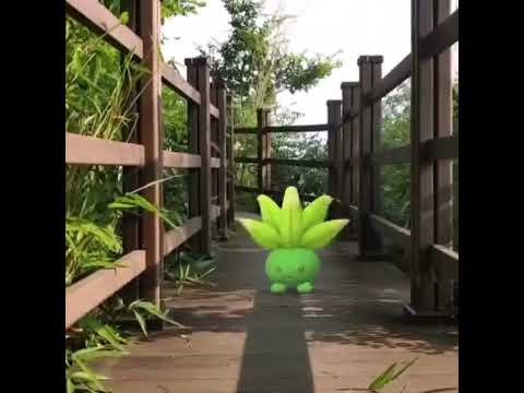 뚜벅쵸 ( Oddish ) ナゾノクサ ( 走路草 )