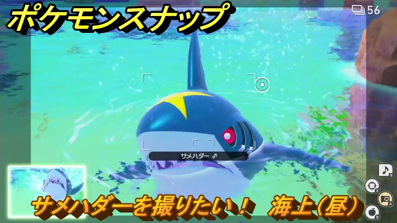 ポケモンスナップ　サメハダーを撮りたい！　海上（昼）調査レベル１　＃２８　【New ポケモンスナップ】