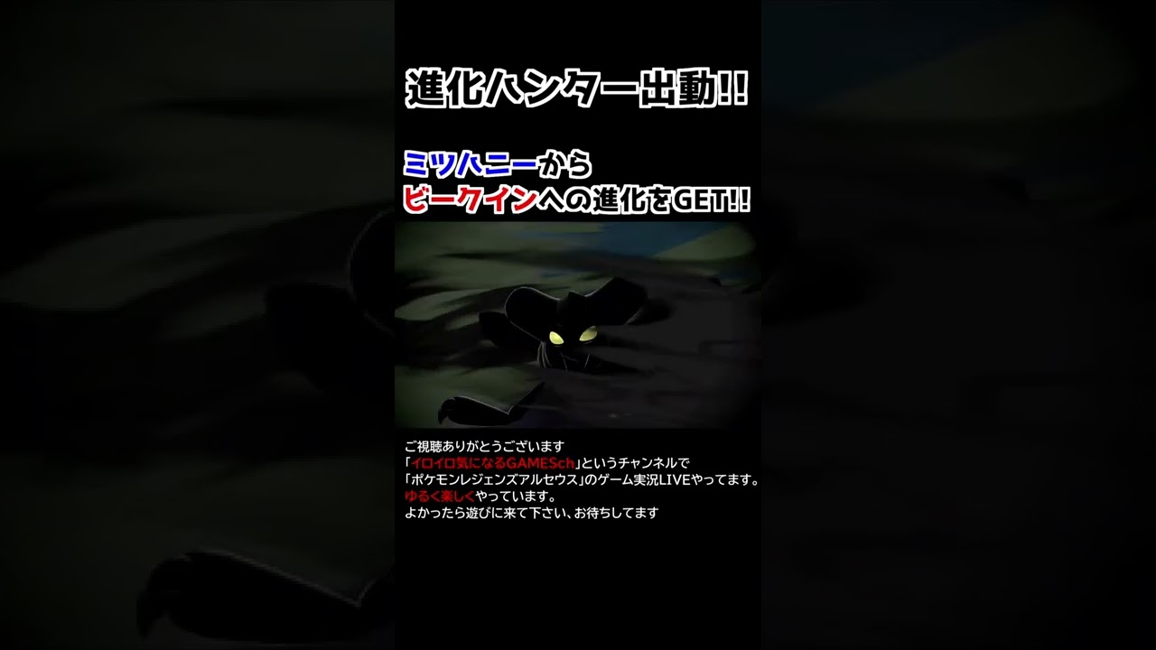 ミツハニー→ビークイン進化【Pokémon LEGENDS アルセウス】【進化ハンター】
