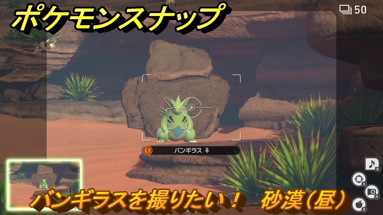 ポケモンスナップ　バンギラスを撮りたい！　砂漠（昼）調査レベル２　＃１９　【New ポケモンスナップ】
