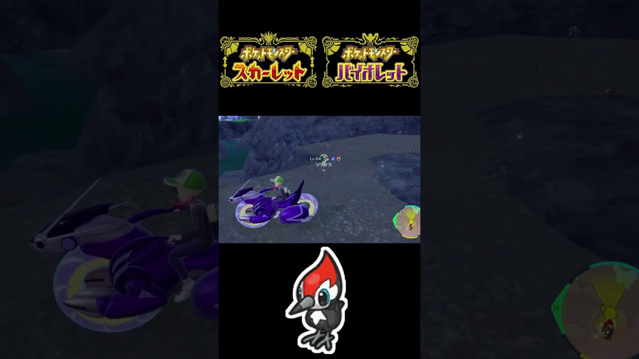 ムックル、ツツケラ、ヤヤコマの色違いを捕まえる！【ポケモンSV】#shorts