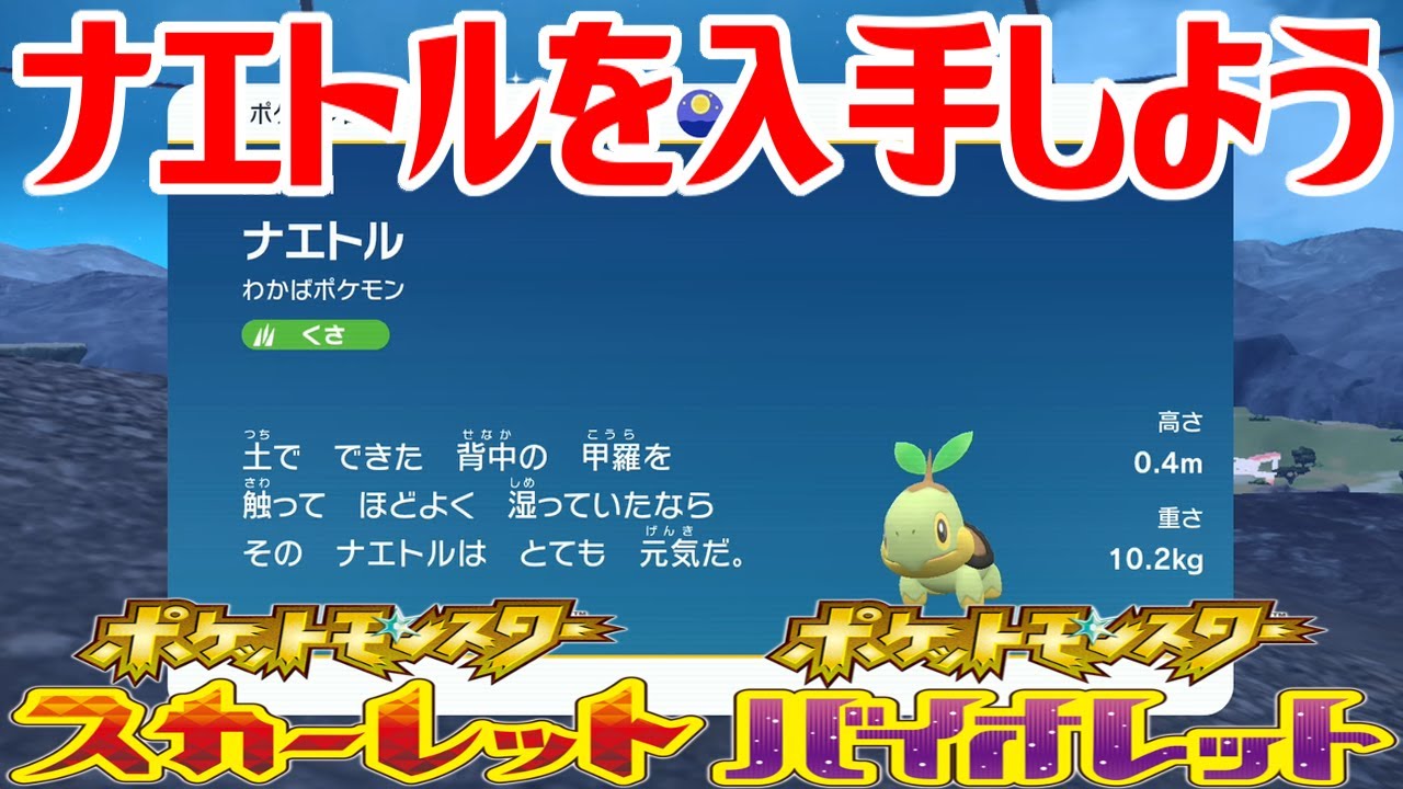 【ポケモンSV】ナエトルを入手しよう【ポケットモンスター スカーレット・バイオレット ゼロの秘宝 藍の円盤】Pocket Monsters