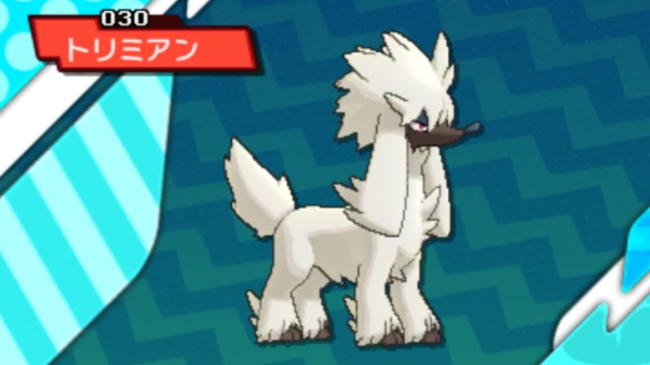 【ウルボ色違い厳選】トリミアン連鎖