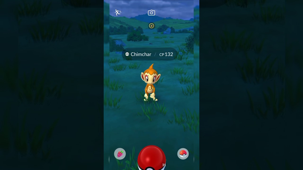 Catching a Chimchar pokemon in the wild #pokemongo #chimchar #pokemon