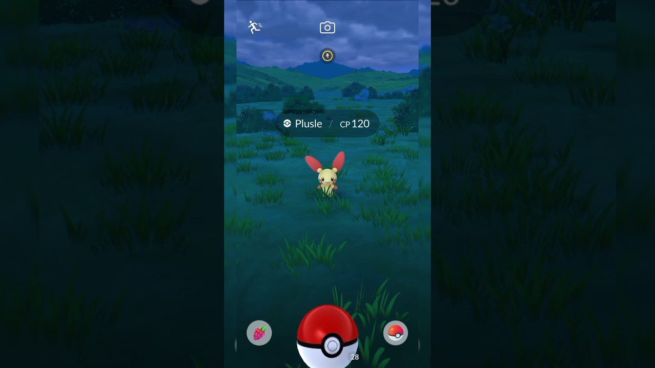 Catching a Plusle pokemon go in the wild #pokemongo #plusle #pokemon