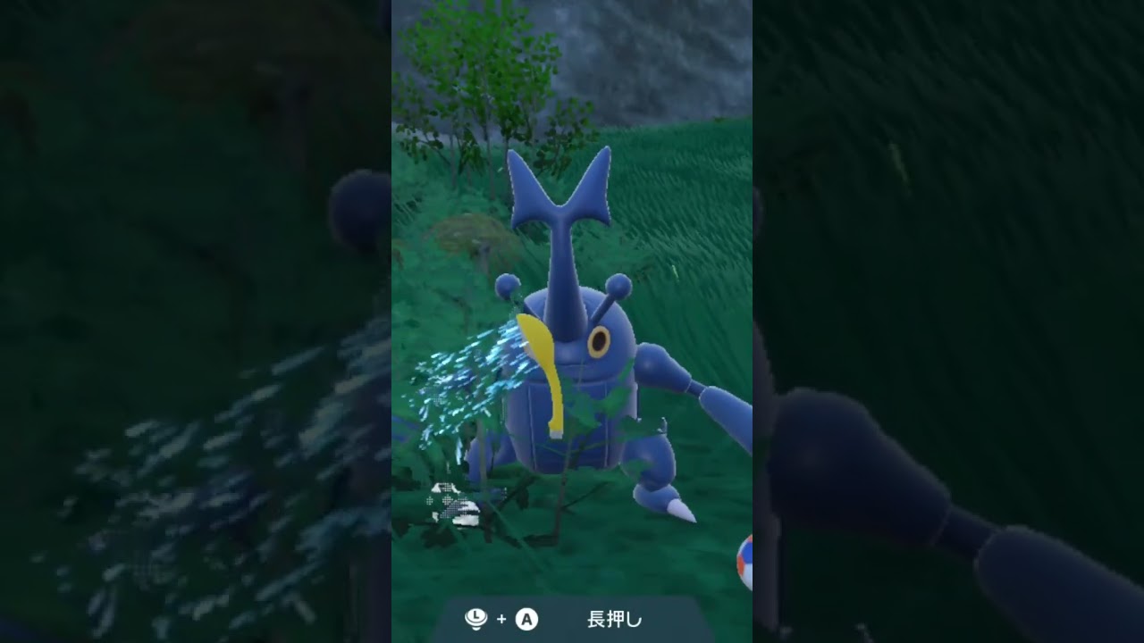 ヘラクロス Heracross【ポケモンsv】