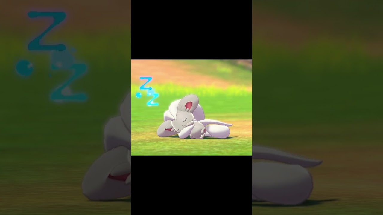 寝ているチラチーノ　#Shorts