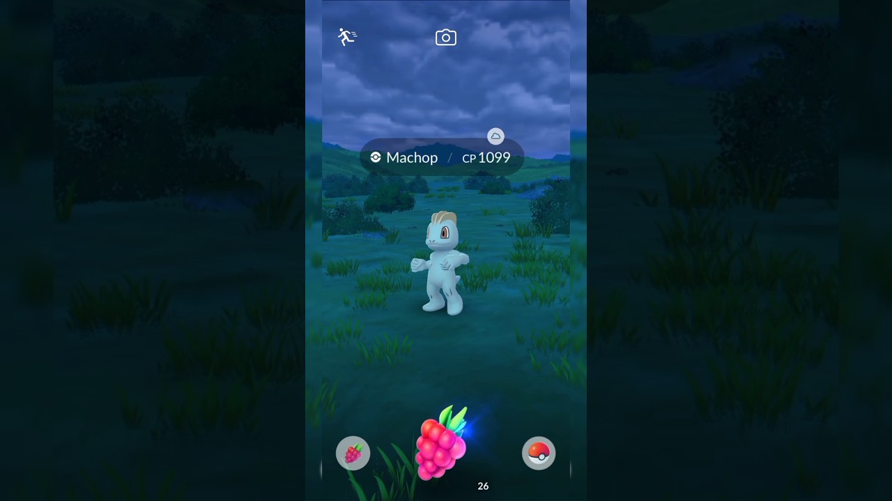 Catching a Machop pokemon go in the wild with berry #pokemongo #machop #pokemon