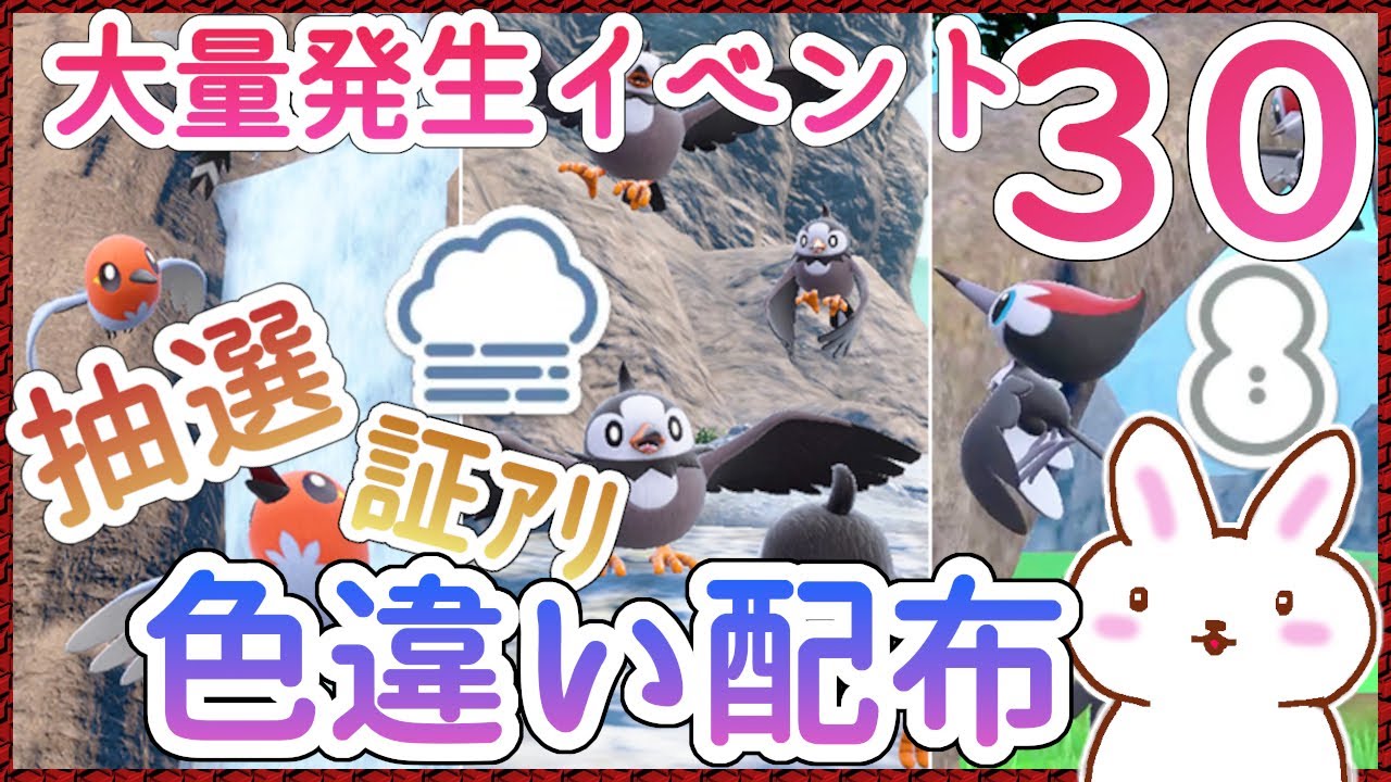 【ポケモンSV】とり色違い配布 ムックル ツツケラ ヤヤコマ 証有り ※概要欄参照