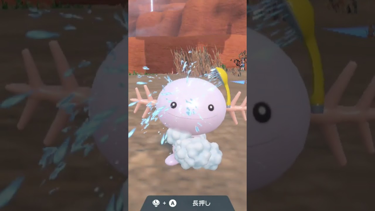 ウパー Wooper 色違い【ポケモンsv】