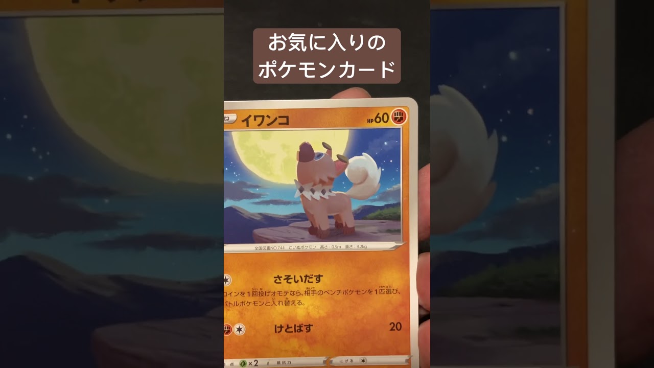 本日のお気に入りポケモンカード　イワンコ　#ポケモンカード