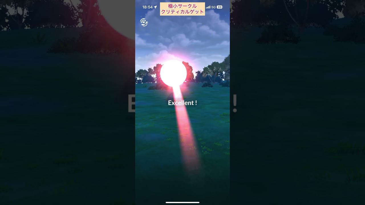 【難易度中】シャドウアローラベトベター極小サークルクリティカルゲット