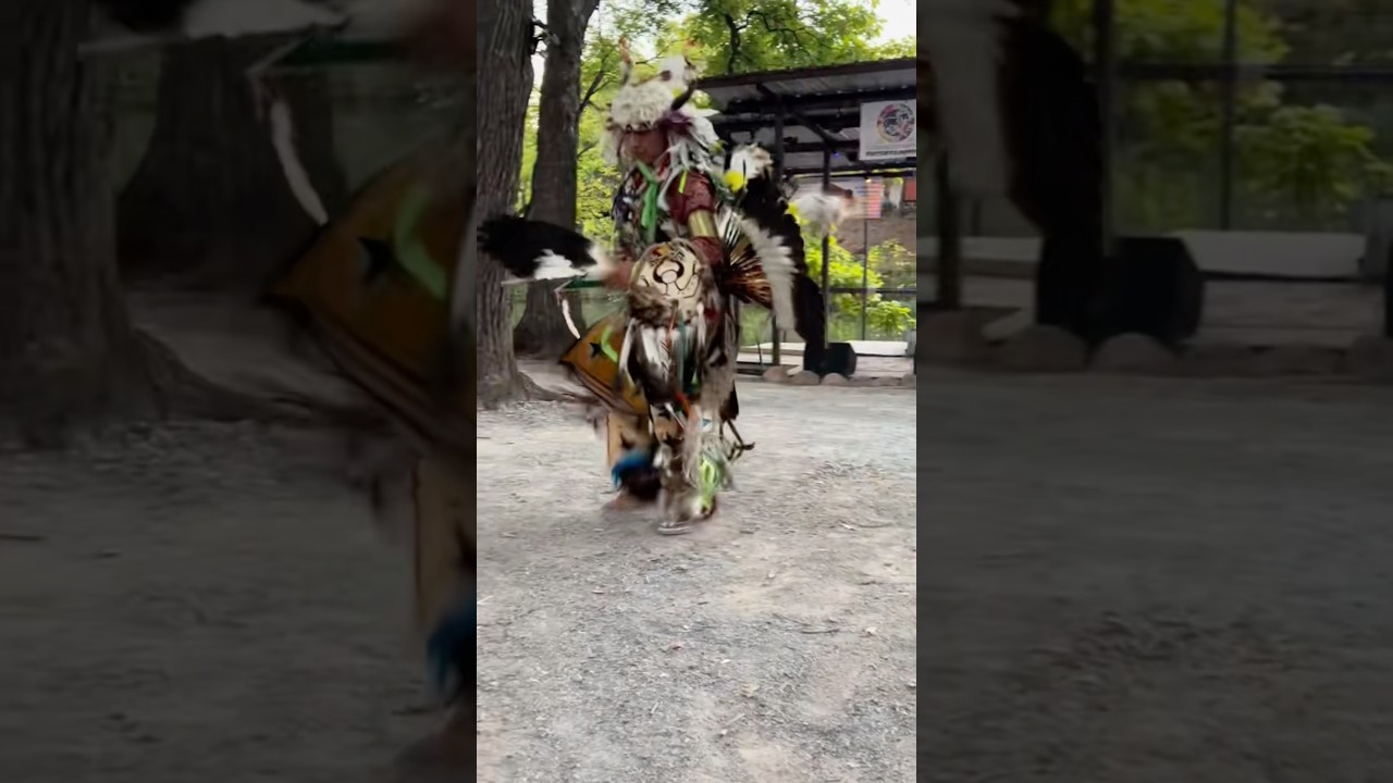 Men’s traditional comp - Native Shorts #indigenous #native #powwow #ytshorts #youtubeshorts #fyp #yt