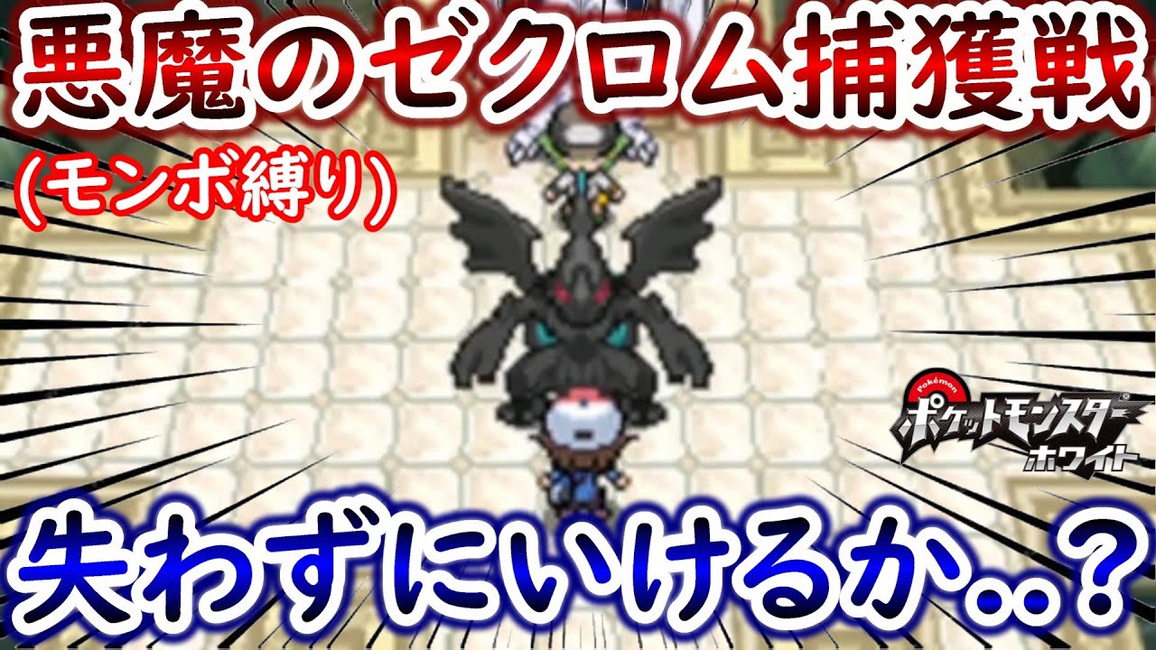 【ひんしで即逃がす】モンボ縛りの怖すぎるゼクロム捕獲戦...!!【ポケモンBW】