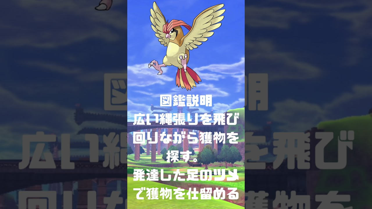 Ｎｏ．0017 ピジョン【ポケモン図鑑】 #shorts   #ポケモン　#pokemon