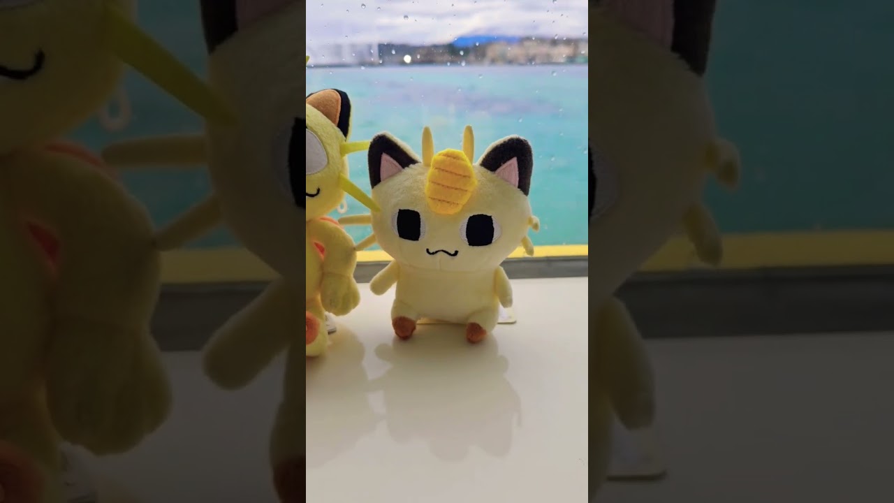 Funny #Meowth plushes 😹😹 #ニャース #喵喵 #Miaouss  #Pokemontoy #PokemonPlush #ポケモンぬいぐるみ #fyp #foryou #fy